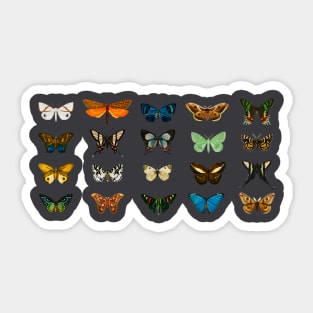 Madame Butterfly Sticker